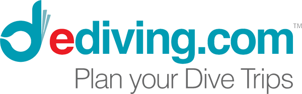 edivingfondtransparent3 3