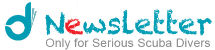 newsletter-ediving-logo2 2
